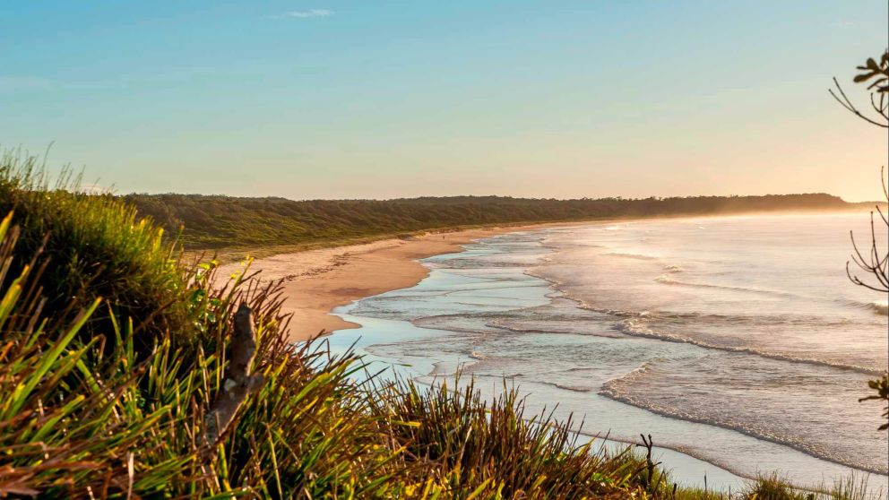 Burrawang Track, Narrawallee National Park